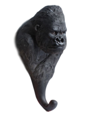 Wandhaak gorilla (Africa)