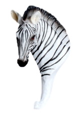 Wandhaak zebra (Africa)