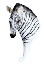 Wandhaak zebra (Africa)    (levertijd maart 2024)