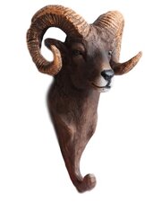 Wandhaak steenbok (Africa)    (levertijd maart 2024)